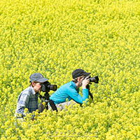 Two photographers in canola